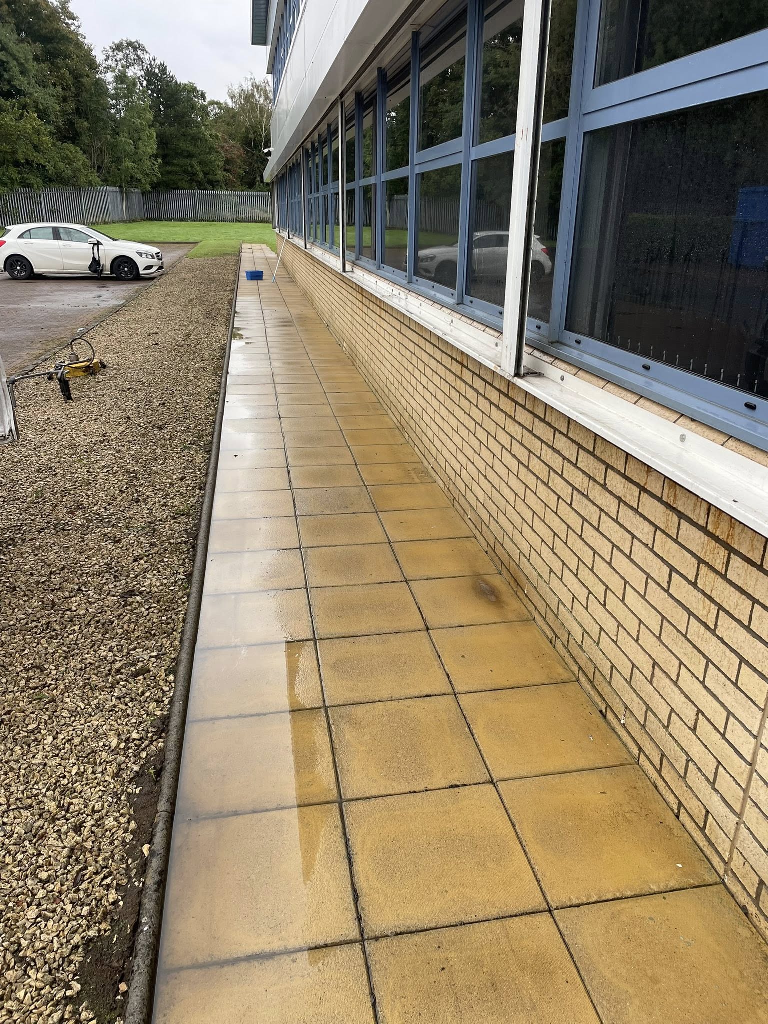 Roof steam cleaning and moss removal — before and after